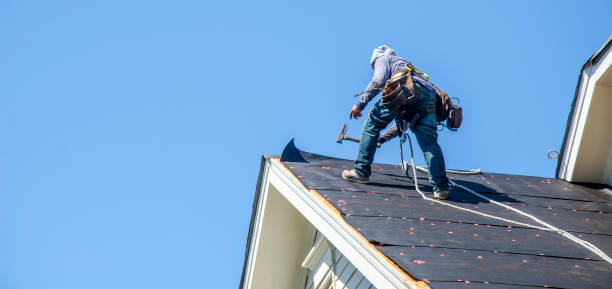Best Roof Maintenance Services  in Makaha, HI